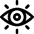 Visionicon